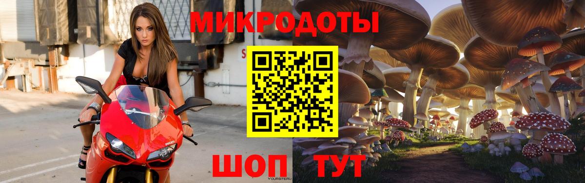 Урюпинск  Псилоцибиновые грибы Psilocybe  Вход с VPN 